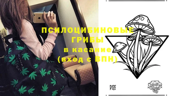 mdpv Алзамай