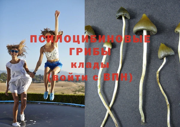mdpv Алзамай