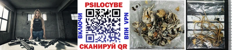 Галлюциногенные грибы Psilocybe  Минусинск 
